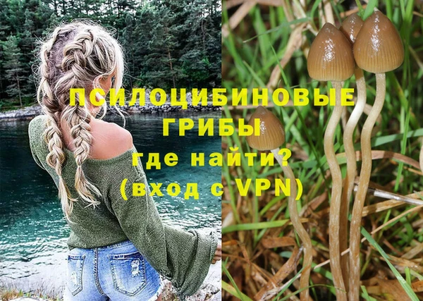 стафф Инта