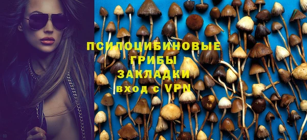 кокс Каменка