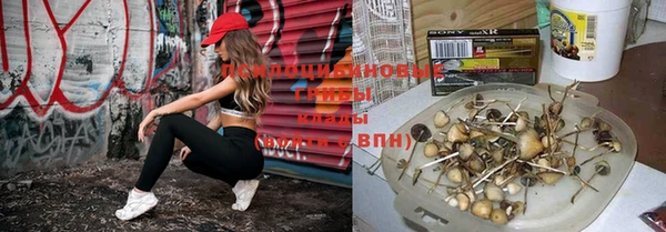 кокс Каменногорск