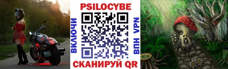 Галлюциногенные грибы Psilocybine cubensis  Купить где  Серпухов 